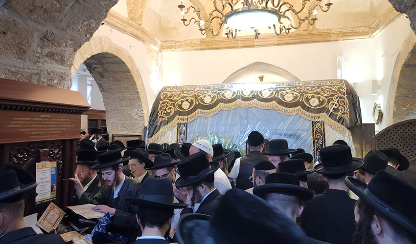 carousel_0000s_0012_IMG-20240507-WA0034